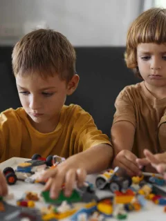 Free LEGO Toy Sets